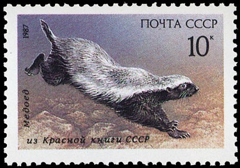 Андрей Ковров | Алматы