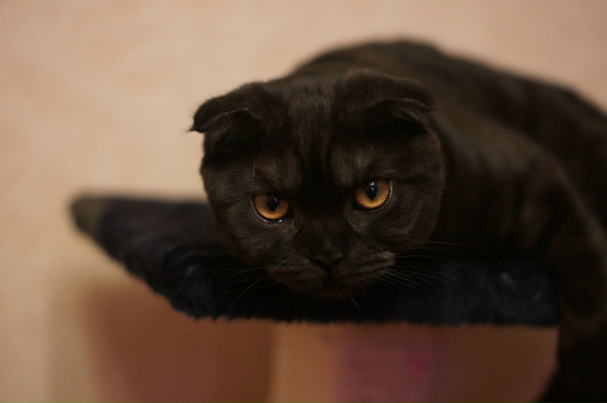 Ангелина Митина | Апатиты