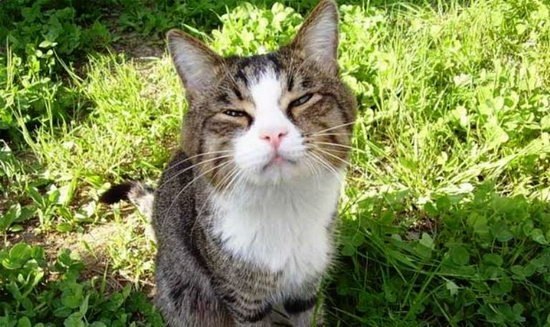 Александр Жуков | Москва