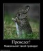 Андрей Казанков фотография #37 (источник - https://vk.com/id46462886)