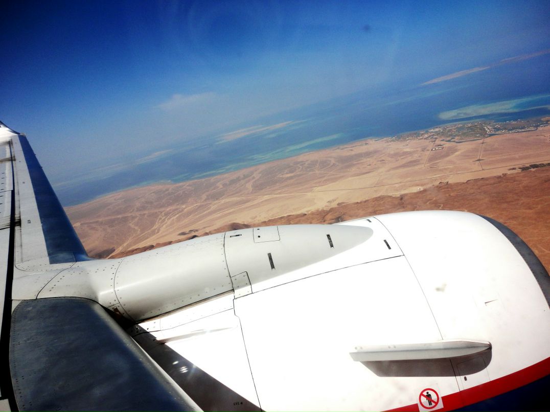 Натусик Ломтик странная жизнь | Санкт-Петербург