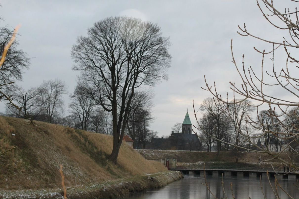 Алёна Труба | Тюмень