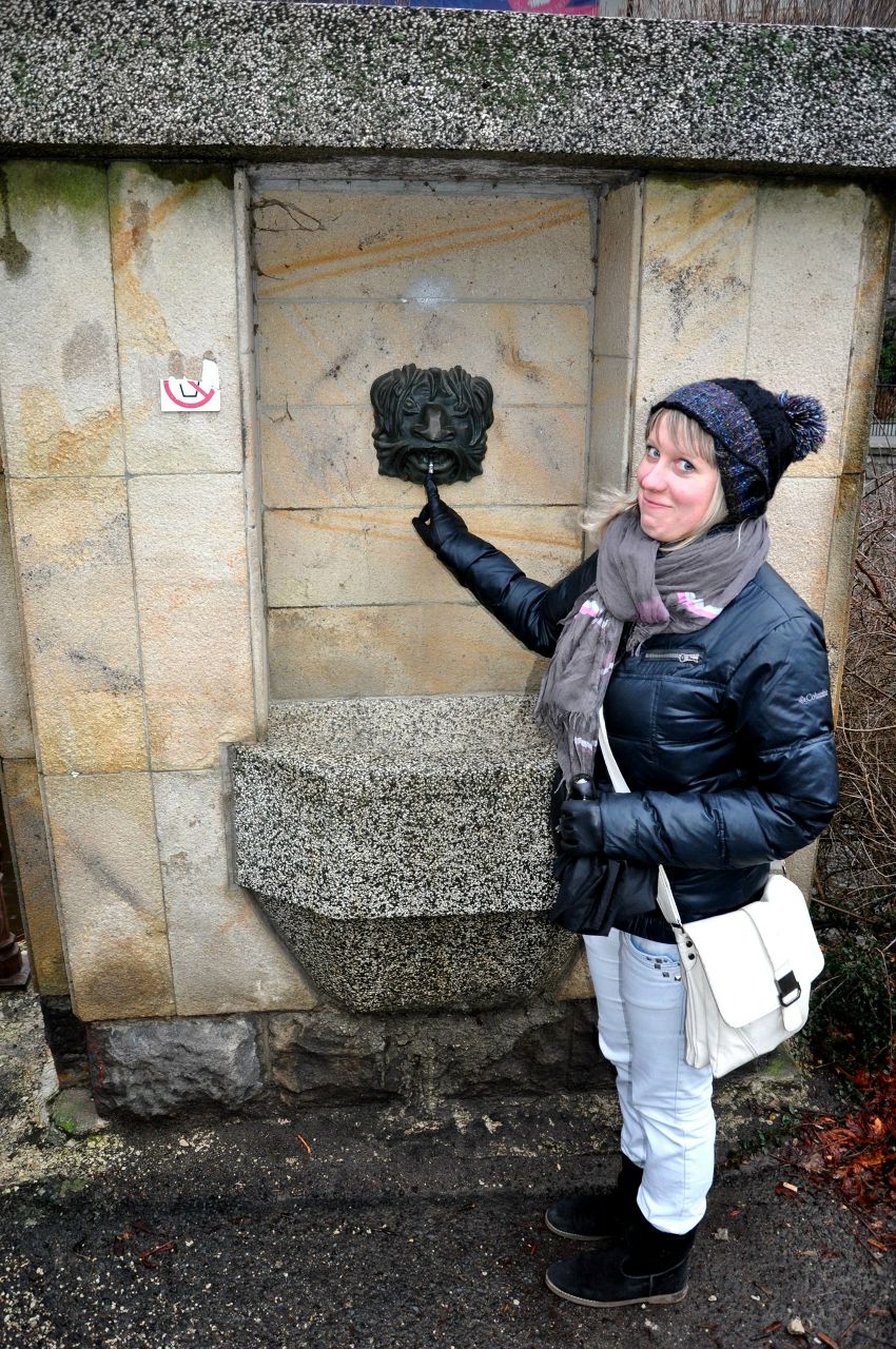 Елена Золотарская | Смоленск