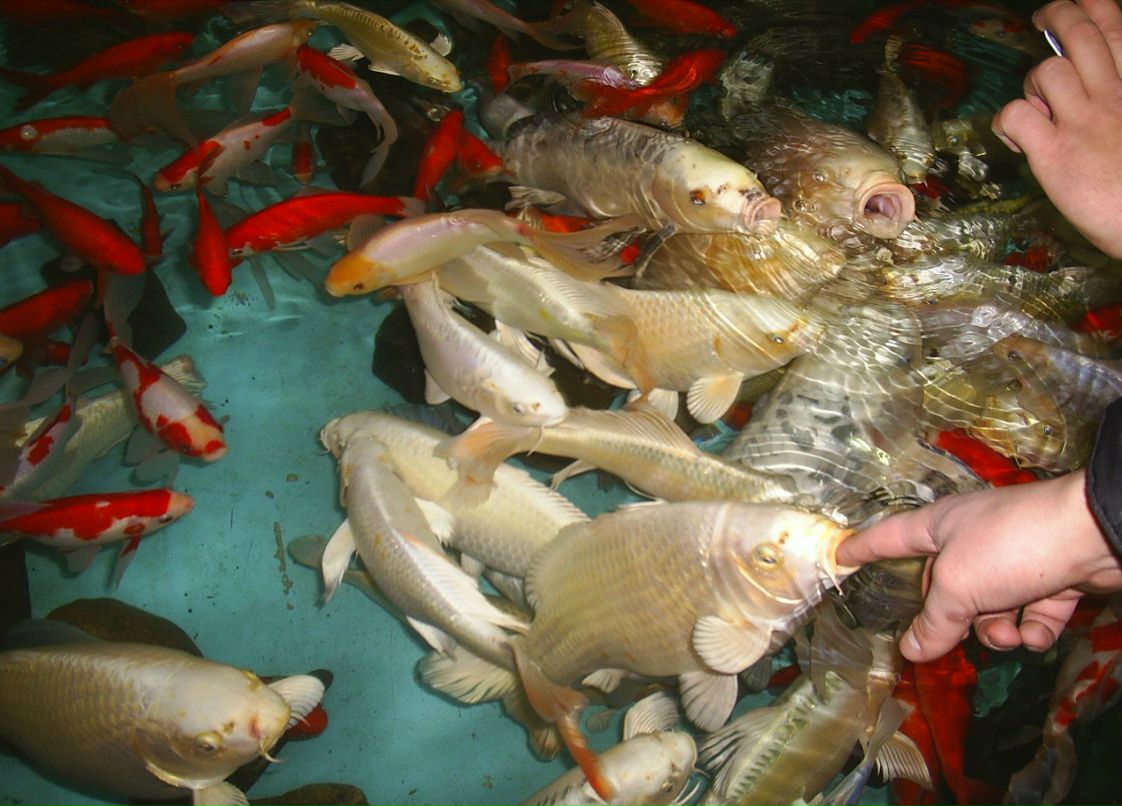 Сергей Пономарев ˙·٠✈ | Новосибирск