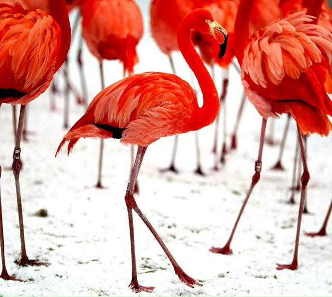 №49, Андрей Дроздов, 27.7.1987 №49, Андрей Дроздов, 27.7.1987