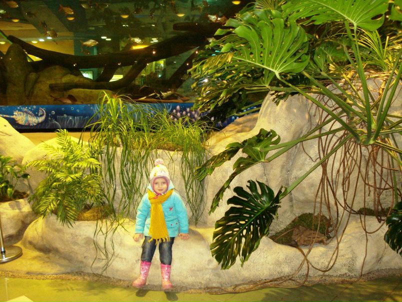 №137, Татьяна Железниченко, Москва №137, Татьяна Железниченко, Москва