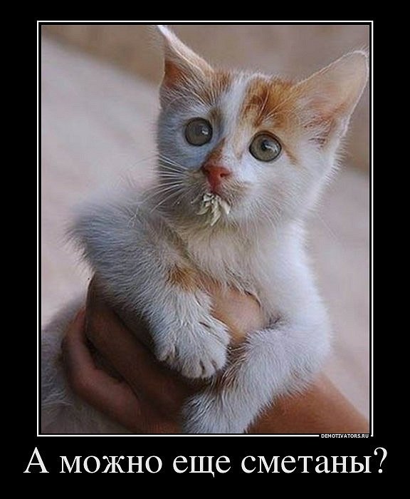 Александр Александров | Sydney