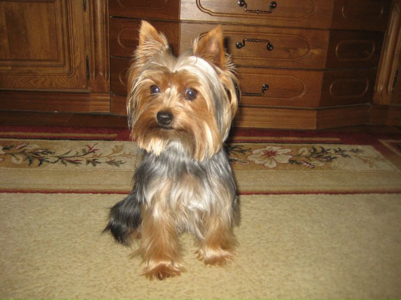 Глеб Шашалевич Александрович | Минск