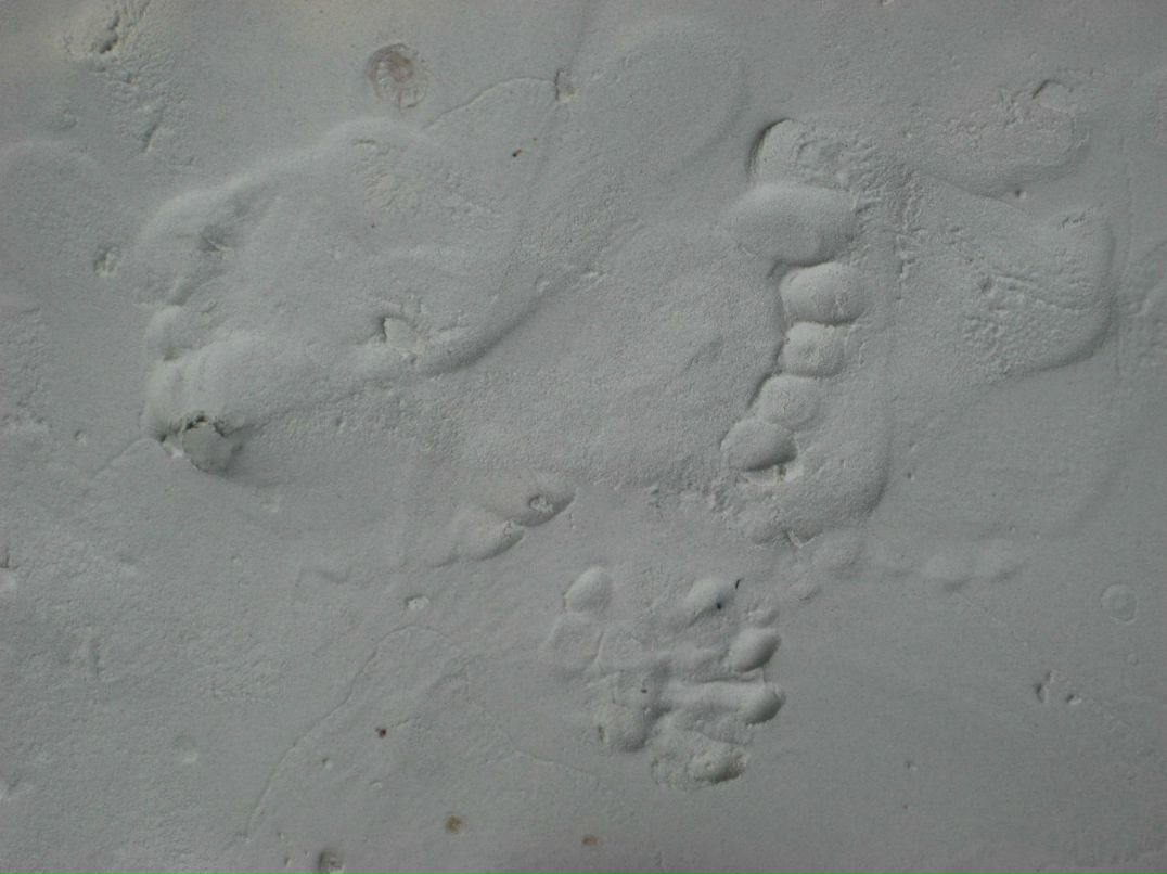 Олеся Петрова ღ Lisa Alissa ღ | Москва