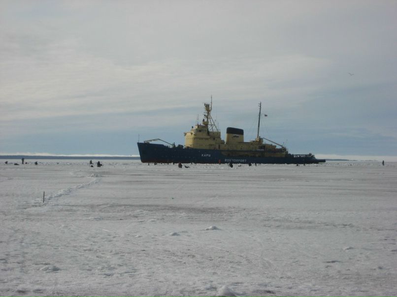 Леша Юткин | Санкт-Петербург