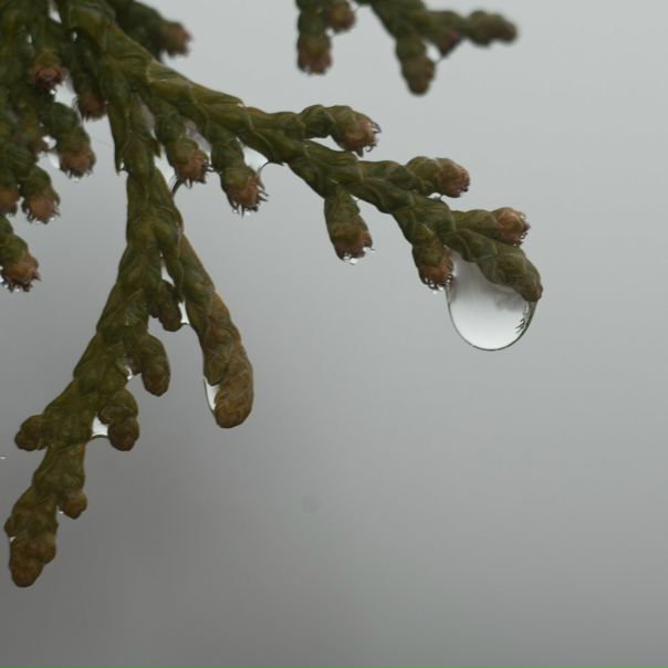 №87, Катерина Катоник, 40 лет, Воронеж №87, Катерина Катоник, 40 лет, Воронеж