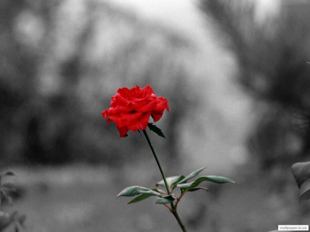 №68, Зоя Жабенко, 41 год, Киев №68, Зоя Жабенко, 41 год, Киев