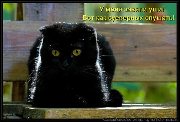 №8, Даша-Даськин Мархель №8, Даша-Даськин Мархель