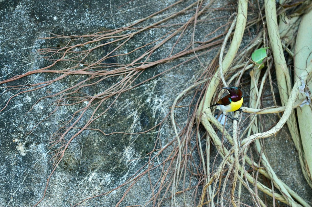 Дарья Юкина | Москва