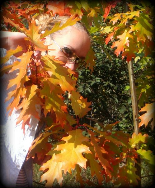 №1, Olga Marko, Ровно №1, Olga Marko, Ровно