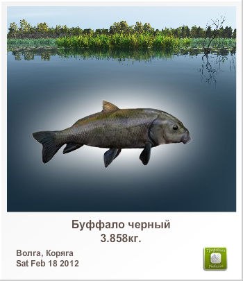 Александр Силин | Великие Луки