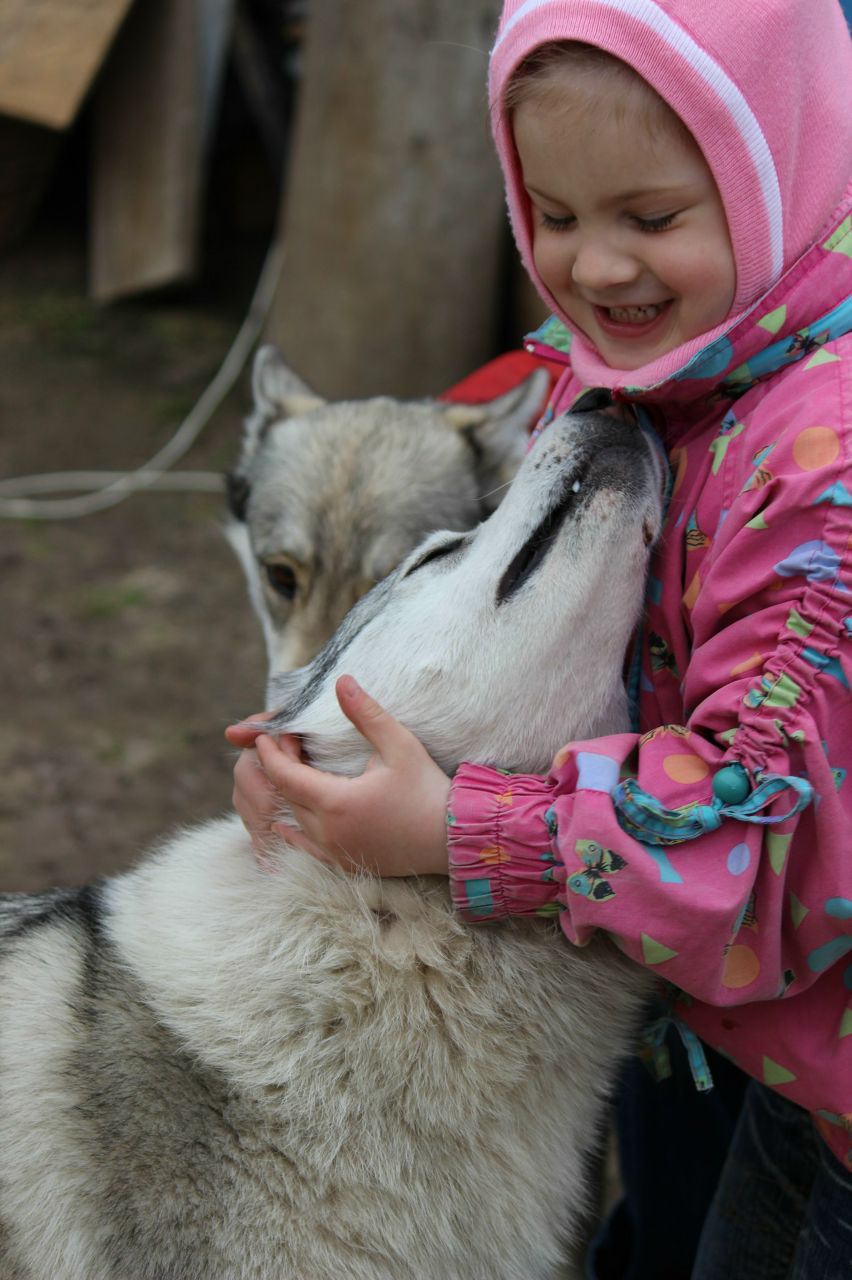 Наталья Синозацкая | Киев