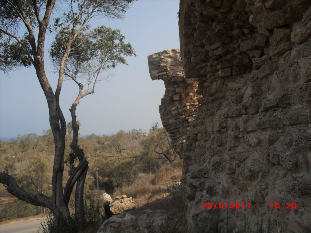 Светлана Фадеева | Калининград