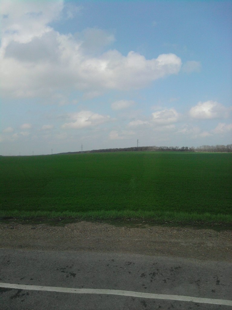 Ладомир Миронов Славянский | Ейск