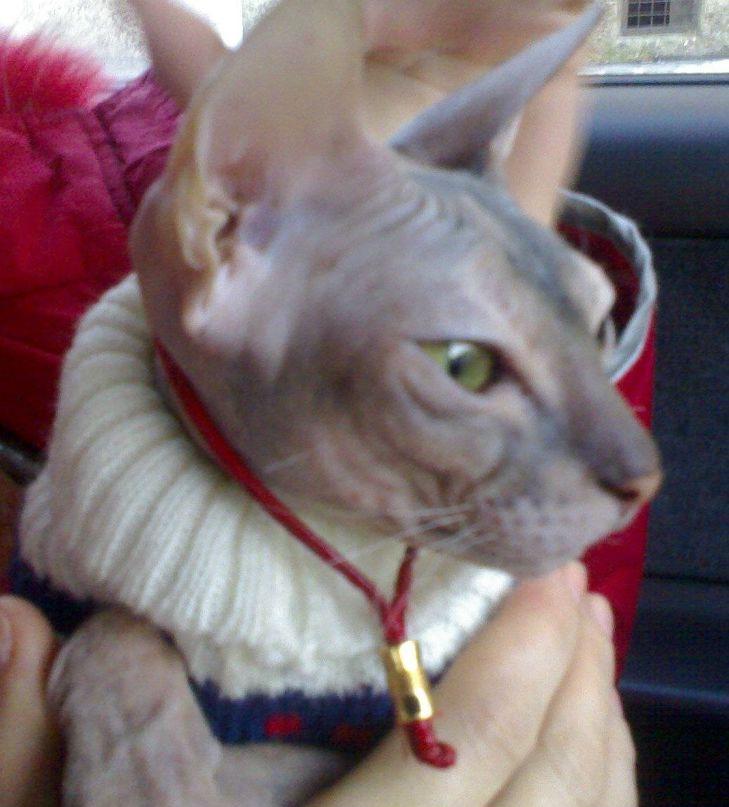 Вадим Дымов | Красноярск