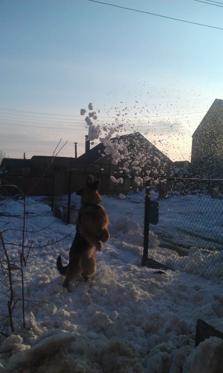 Рашид Гумаров ⎷⎛Ра⎠. | Магнитогорск