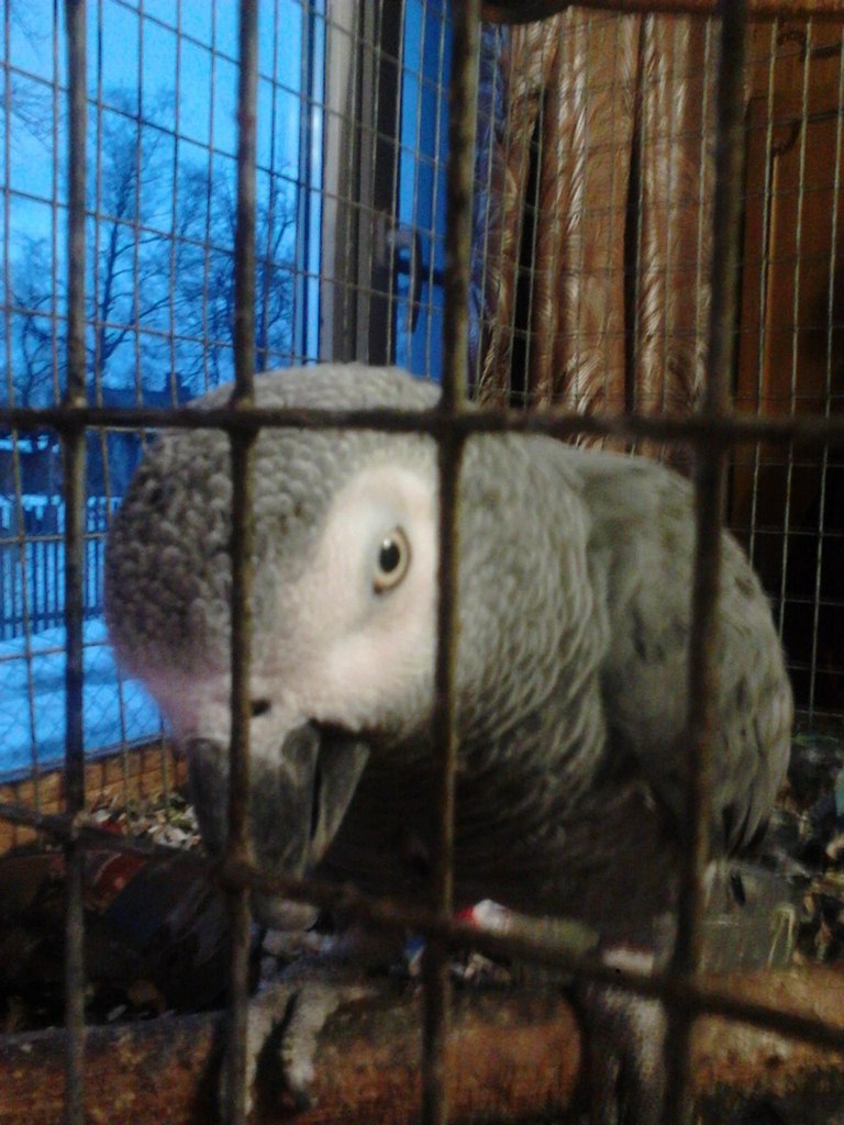 Марина Казбек | Печоры