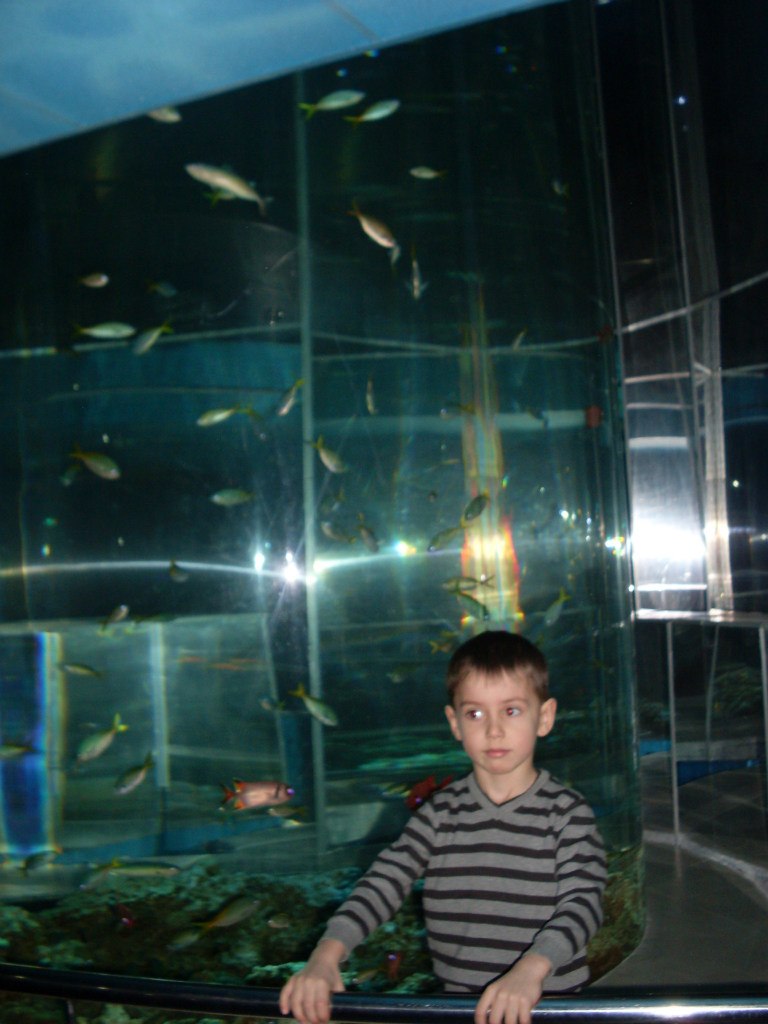 Ольга Веселова | Санкт-Петербург