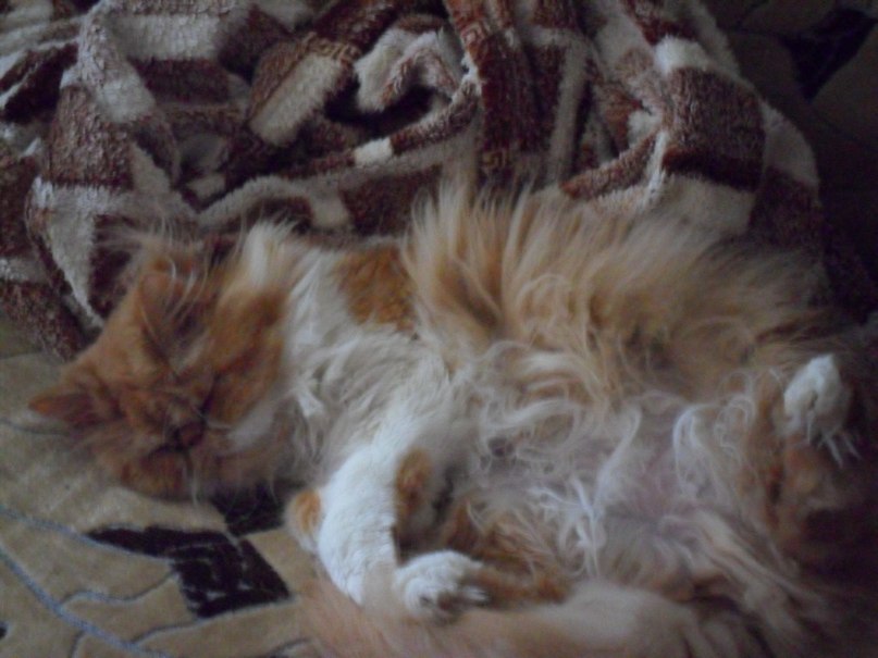 Михаил Гаврилов | Николаев