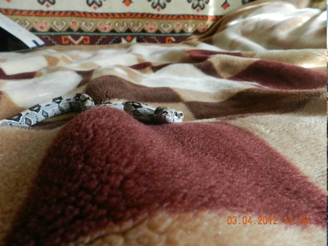 Саша Алексеев =)Чувачок=) | Санкт-Петербург