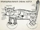 №14 Татьяна Кондратенко 10.12: профиль, фото, статус - ВКонтакте №14 Татьяна Кондратенко 10.12: профиль, фото, статус - ВКонтакте