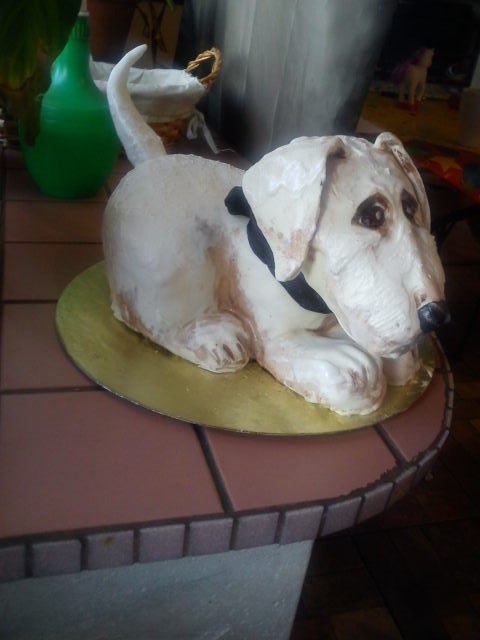 Анна Хайми | Санкт-Петербург