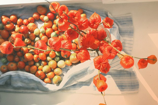 Саша Баранова Konphetamine | Москва