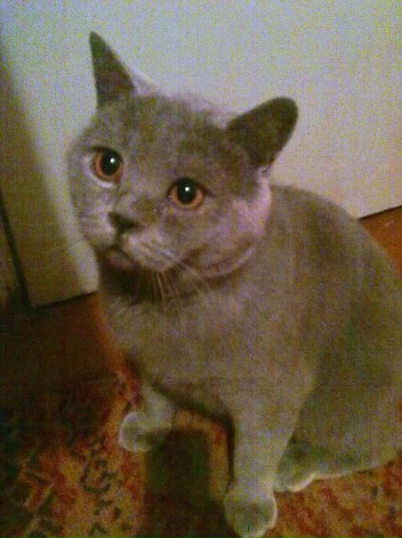 №2, Вероника Просторядина №2, Вероника Просторядина