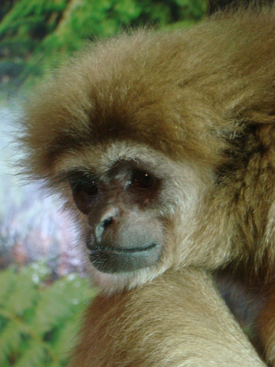 Наташа Флягина | Нижний Новгород