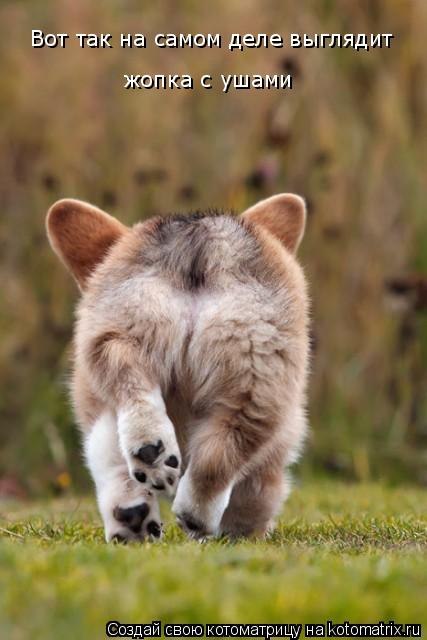 Марина Добранос | Харьков