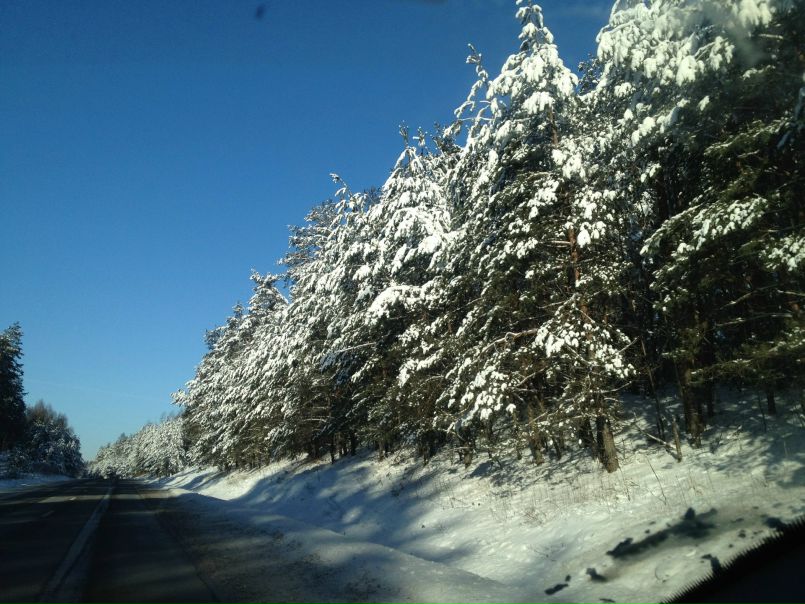 №68, Анна Попова, Калининград №68, Анна Попова, Калининград