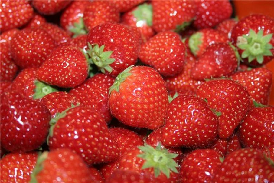 №34, Гульсина Исмагилова №34, Гульсина Исмагилова