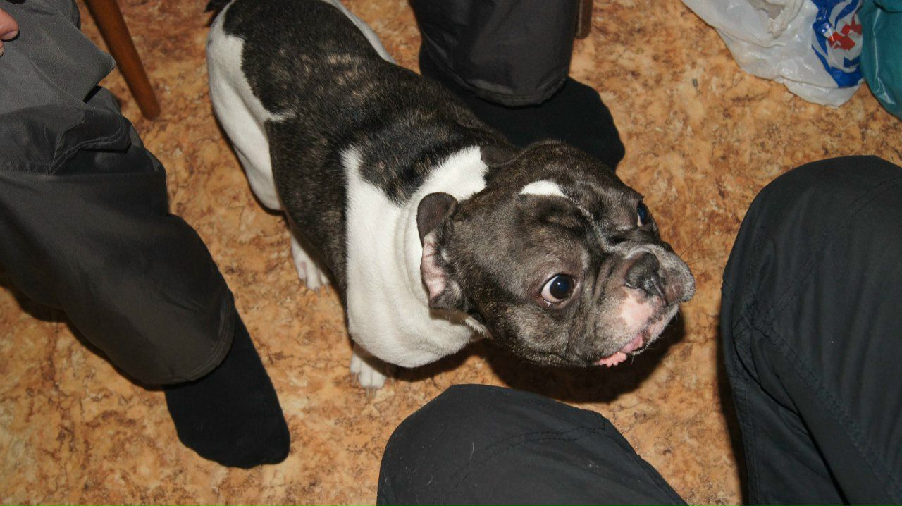 Антон Страшко | Харьков