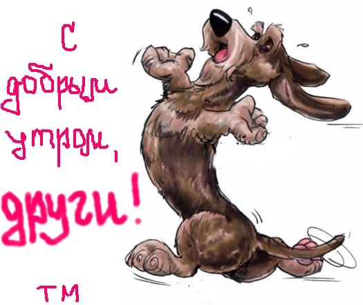 №120, Татьяна Михайлова, Санкт-Петербург №120, Татьяна Михайлова, Санкт-Петербург