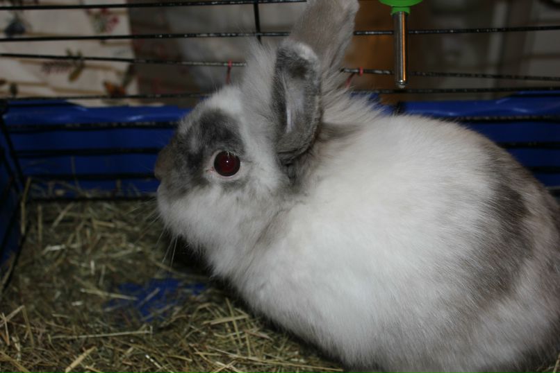 Никита Брага | Санкт-Петербург