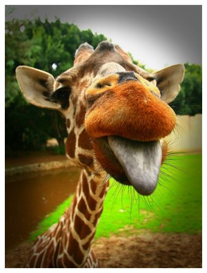 Алёна Крупина | Москва