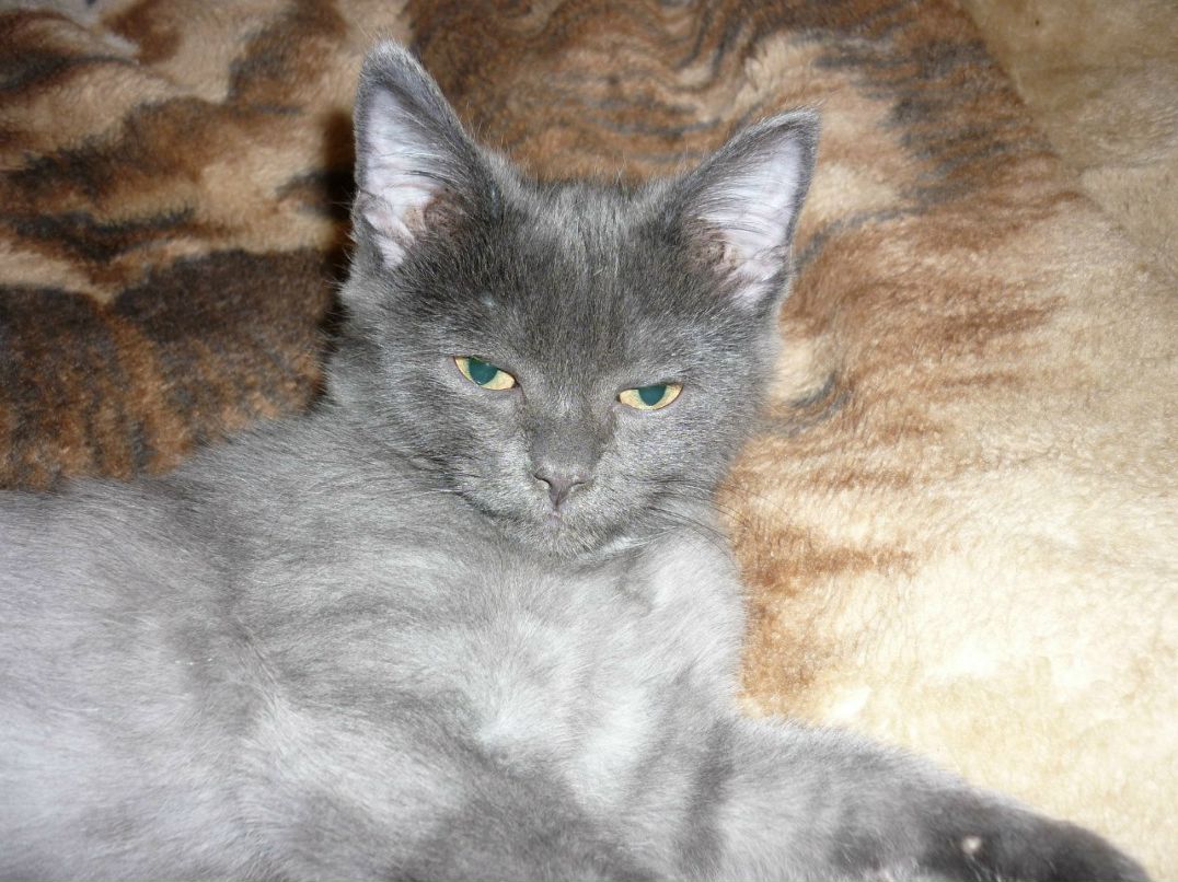 Инга Сомкина | Санкт-Петербург