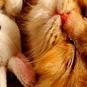 №18, Анна Санникова, 14.3.1990, 36 лет, Йошкар-Ола, Россия