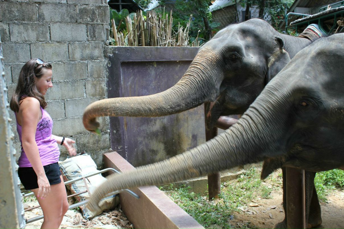 Анна Шугаева | Санкт-Петербург