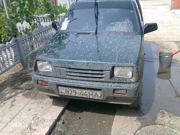 Александр Донец | Приазовское