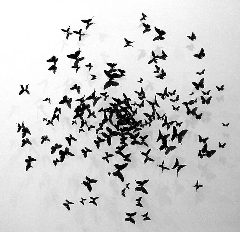 Евгений Толмачёв | 