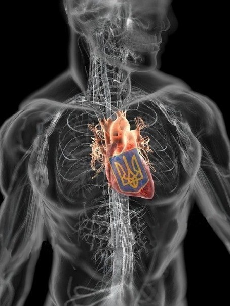 Святослав Бежаєв | 