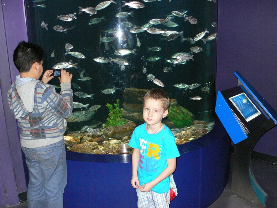 Марина Сиволап | Москва