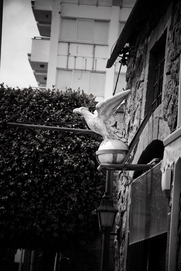 Mikhail Chipurnoi | Москва