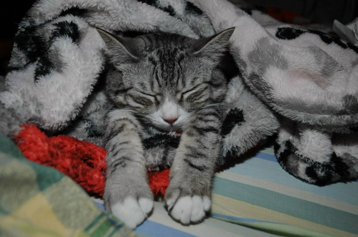 Анна Кукина | Москва